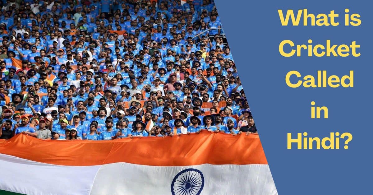 What is Cricket Called in Hindi?