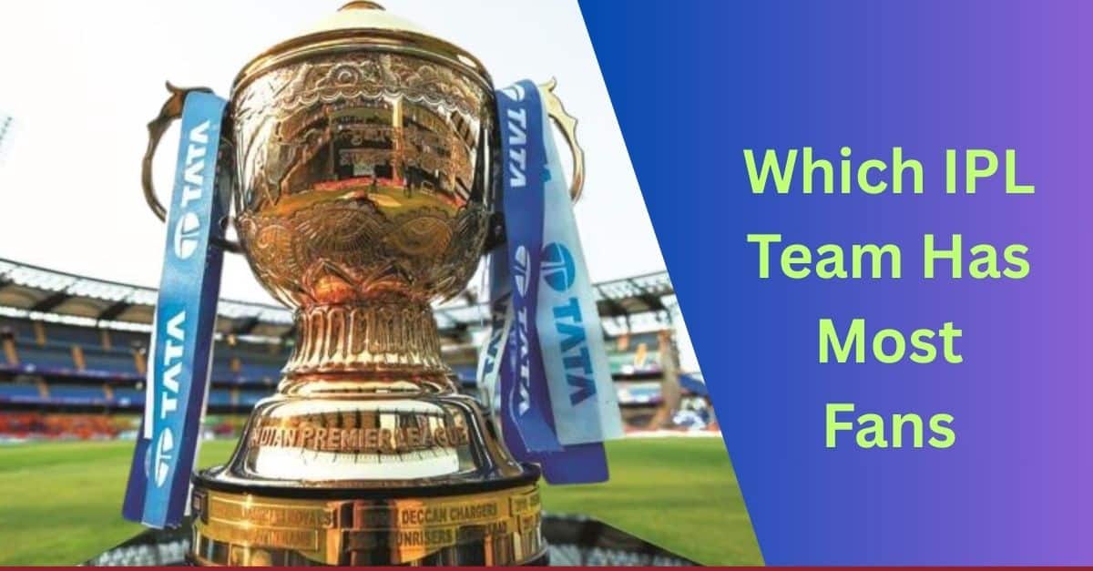 Which IPL Team Has Most Fans